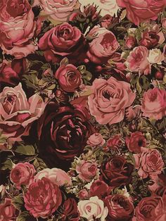 a bunch of flowers that are in the middle of a wallpaper design with red and pink roses on it