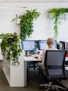 a woman sitting at a desk in front of two computer monitors with plants growing on the wall