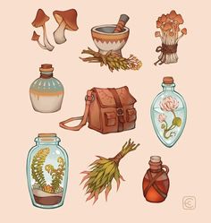 an image of various items that can be found in the forest or on the ground