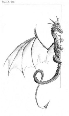 a pencil drawing of a dragon with wings and tail, sitting on top of a pole