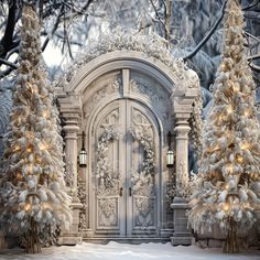 a white door surrounded by snow covered trees with lights on the front and side doors