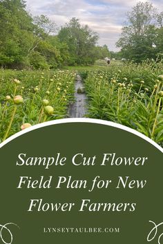 a field full of flowers with the words sample cut flower field plan for new flower farmers