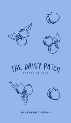 the daisy patch blueberry seeds logo on a blue background with black and white images