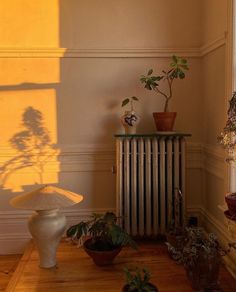 a room with some plants on the floor and a radiator next to it