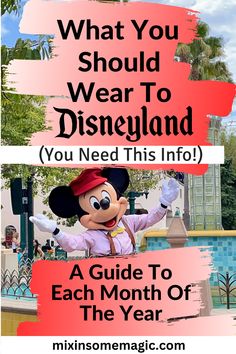 mickey mouse with text that says what you should wear to disneyland you need this info for each month of the year