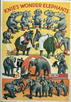 an advertisement for the circus featuring elephants and clowns in various stages of their life