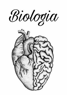 the book cover for biologia with an image of a human heart and brain