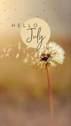 a dandelion with the words hello july written on it and a bubble above it