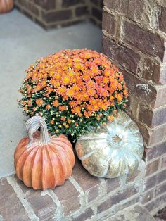 two pumpkins are sitting next to some flowers