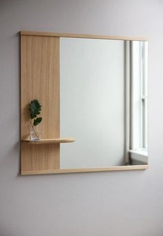 a mirror and shelf with a plant in it