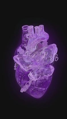 an image of a purple heart made out of plastic bottles on a black background in the shape of a human heart