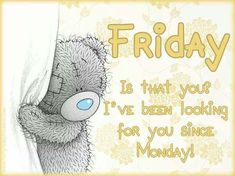 a teddy bear peeks out from behind a curtain with the caption friday is that you've been looking for you since monday