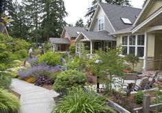 a house with lots of plants in the front yard and walkway leading up to it