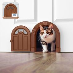 a cat is standing in front of a door and looking at the camera with curiosity