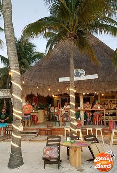 some people are standing on the beach by chairs and palm trees in front of a bar