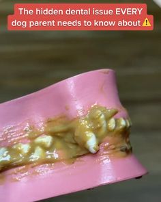 a pink toothbrush with yellow dental paste on it's mouth and the words, the hidden dental issue every dog parent needs to know about