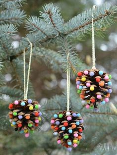 two pine cones hanging from a tree branch with colorful beads on the top and bottom