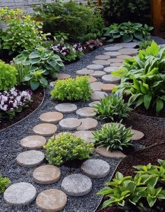 a garden with rocks and plants in it