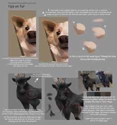 the instructions for how to draw a dog's head and neck with different angles