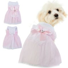 a white dog wearing a pink dress with bows