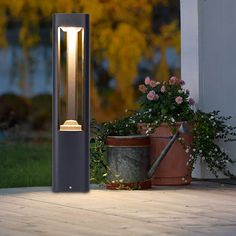 a lamp that is sitting on the ground next to potted plants and flower pots