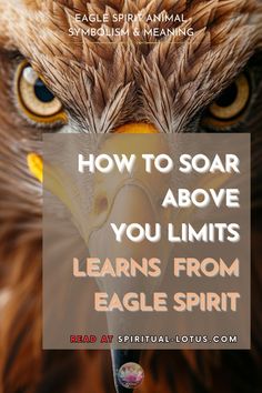 an eagle with the words how to soar above you limits learn from eagle spirit