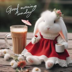 a white bunny in a red dress next to a cup of coffee