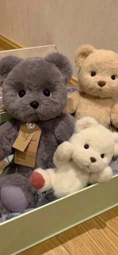 three teddy bears sitting in a box on the floor