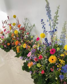 a row of colorful flowers sitting on top of a white table next to each other