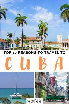 the top 10 reasons to travel to cuba in this postcard collage is featured with palm trees and colorful buildings