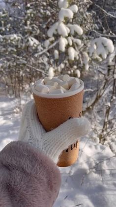 a cup of hot chocolate is held up in the snow