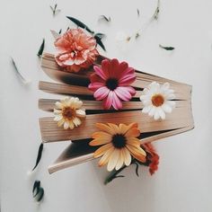 an open book with flowers on top of it