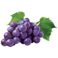 a bunch of purple grapes with green leaves on a white background, ready to be eaten