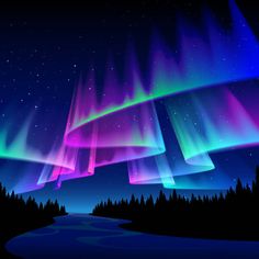 the aurora bore is glowing brightly in the night sky over a river and pine trees