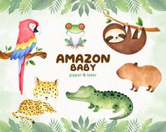 watercolor animals and plants with the words amazon baby written in it's center