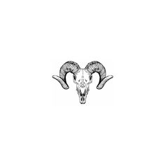 a ram's head with large horns is drawn in black ink on a white background