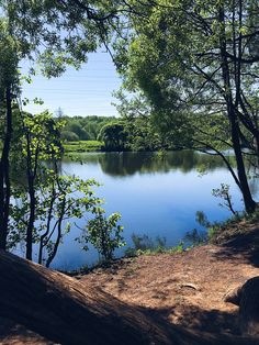 a large body of water surrounded by lots of trees and grass on a sunny day