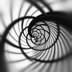 black and white photograph of spirals in the middle of an image with light coming through them