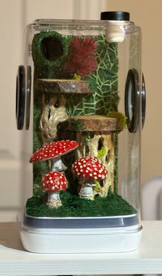 a glass jar filled with mushrooms and plants