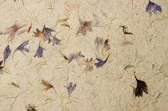 birds are flying in the air on a white surface with blue and purple feathers scattered around them