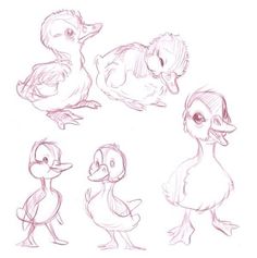 some drawings of ducks in different poses