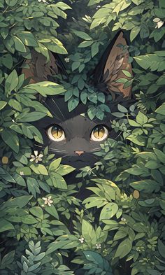 a black cat peeking out from behind some green leaves and plants with eyes wide open