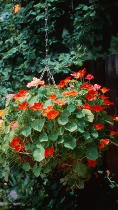 a hanging planter filled with red and orange flowers