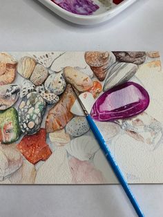 an artist's palette with watercolors on it next to a painting that has rocks and seashells painted on it