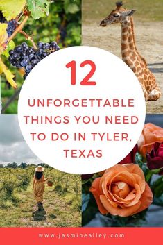 the top ten things you need to do in tyler, texas with text overlay that reads 12 unforgettable things you need to do in tyler, texas