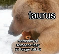 a brown bear sitting in the snow holding a teddy bear