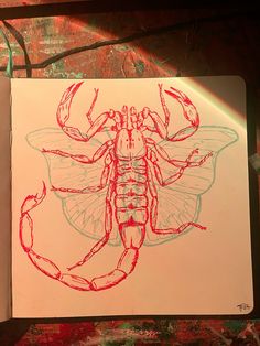 a drawing of a scorpion on paper