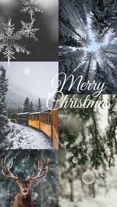 the christmas card is decorated with snowflakes and trees