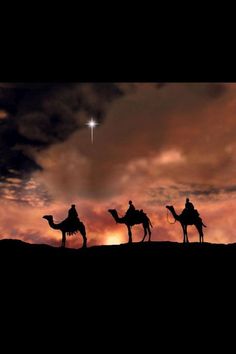 three people riding on camels in the desert at night with a star above them