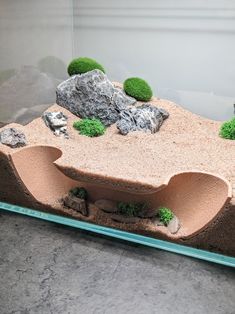 an aquarium filled with rocks and plants in the middle of it's display case